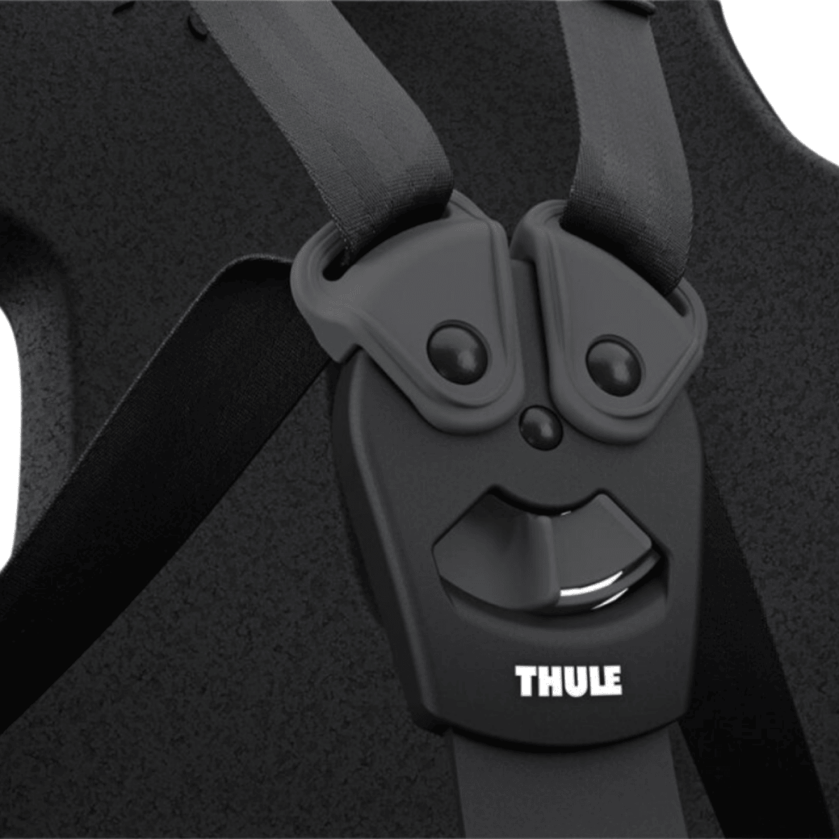 Thule Yepp Nexxt 2 Maxi Kinderfahrradsitz für Gepäckträger Midnight Black